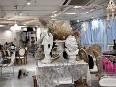 -共舞时光猫咖·狗咖(新街口店)