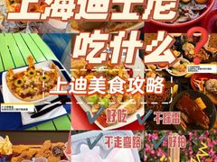 -上海迪士尼度假区