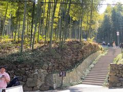 -东明山森林公园