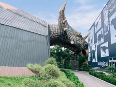 -诸城市恐龙博物馆