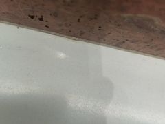 -雀蓝川菜(滨湖万象汇店)