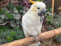 -南宫五洲植物乐园