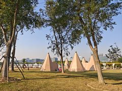 -春花秋色城市公园