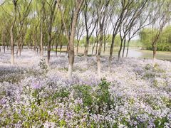 -东郊湿地公园