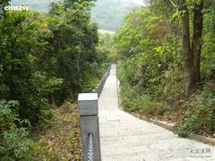-清溪森林公园