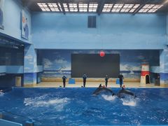 -锦艺城海洋馆