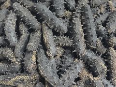 -大连双兴商品城