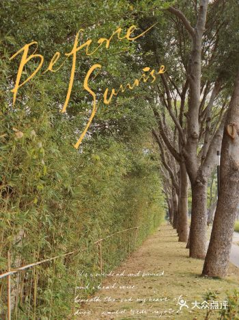 深圳周末溜娃|附近居民才知道的宝藏之处