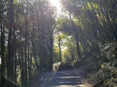 -西湖风景区十里琅珰-五云山