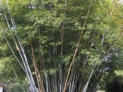 -堤角公园