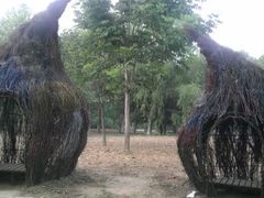 android_upload_pic-石家庄市植物园
