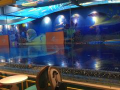 -ABC Swim亲子游泳俱乐部(河西店)