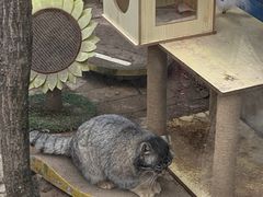 -青藏高原野生动物园
