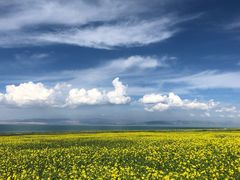 -青海湖国家重点风景名胜区