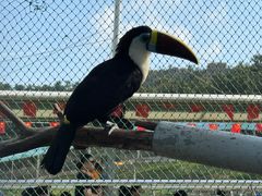 -西霞口神雕山野生动物世界