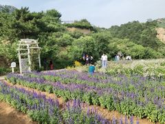 -云峰山自然风景区