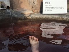 -东山湖温泉度假村
