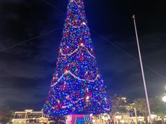 -奥兰多迪士尼动物王国乐园