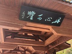 -重庆彩云湖湿地公园