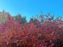 -北京西山国家森林公园