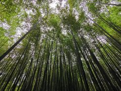 -竹泉村旅游度假区