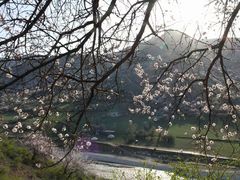 景点-中华福寿山