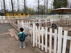 -前小桔亲子创意农场·草莓采摘·露营烧烤