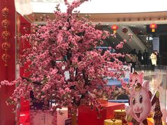 -万达广场(泰安泰山店)