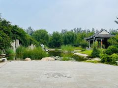 -武清南湖绿博园