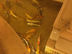 -银帆宾馆-自助餐厅(金马路店)