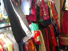 -一棵树(雨儿胡同)