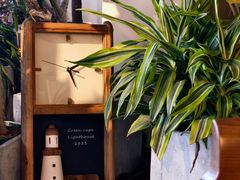 -Dinoo 片场咖啡(酒仙桥店)