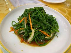 巩乃斯沙葱-新疆巴州金丝特餐厅(大钟寺店)