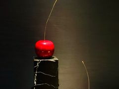 -四季小馆·潤·中国菜(越秀公园店)