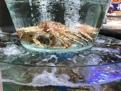 -盒马鲜生(悠方店)