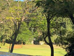 -The Sunny Side Cafe Station 1