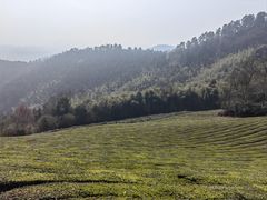 -敬亭山风景名胜区