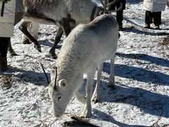 -长白山万达锦华套房酒店