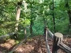 -茅兰沟国家森林公园