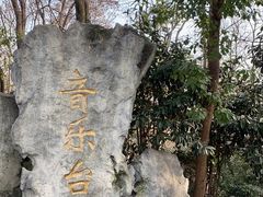 -音乐台