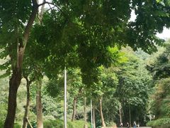 -火炉山森林公园