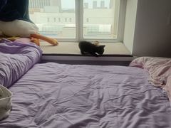 -瑞派宠物医院·中兽医专科(中央商城分院)