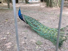 -宁波野生动物园