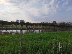 -迪茵湖田家舍生态农场