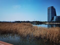 -金沙湖公园