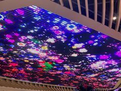 -人间采蜜(海信广场店)