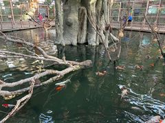 -南宫五洲植物乐园