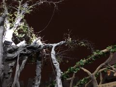 -裕龙汤泉