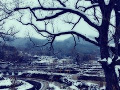 -塔川景区