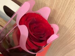 -海底捞火锅(奥体南路店)